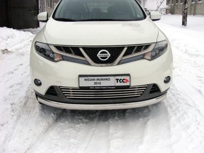 Защита бампера Nissan Murano (Z51) 2007.