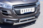 Иконка:Защита бампера Peugeot 4008 2012 - наст. время.